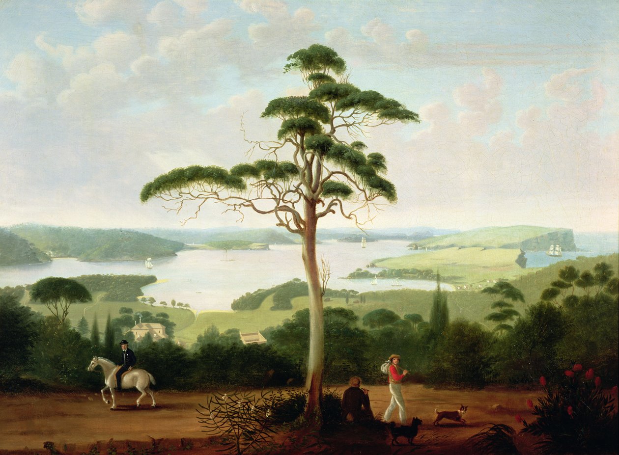 Sydney kikötője a Heads felé néz, 1848 alkotó: Jacob Janssen