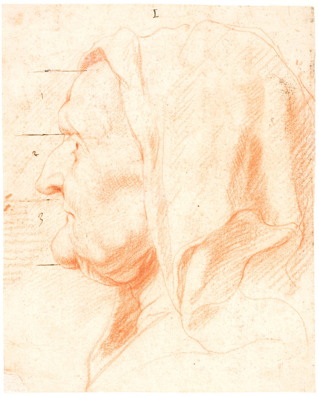 Egy öregasszony feje, bal oldali profilban alkotó: Jacob Jordaens
