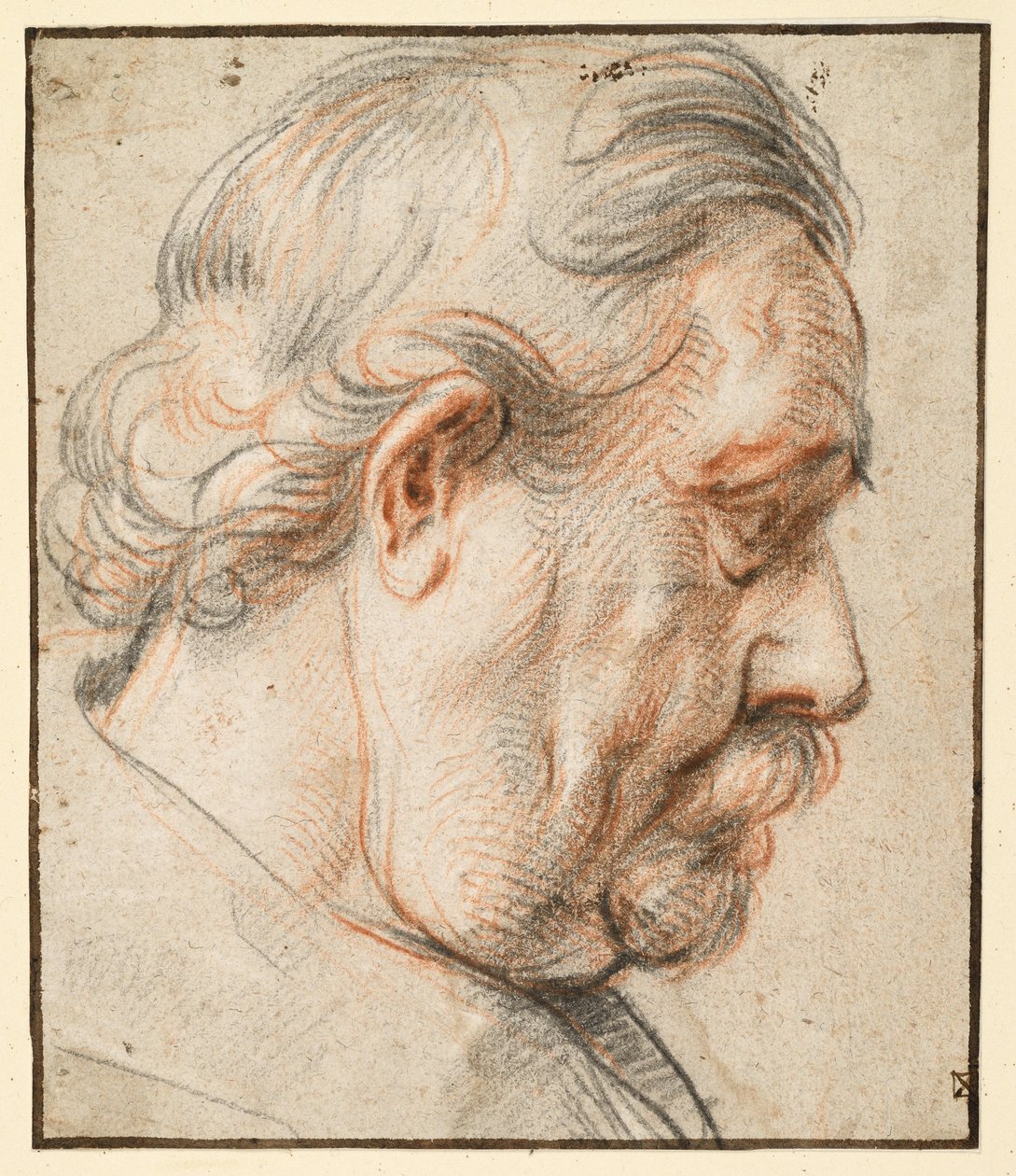 Férfifej jobbra néző profilban alkotó: Jacob Jordaens
