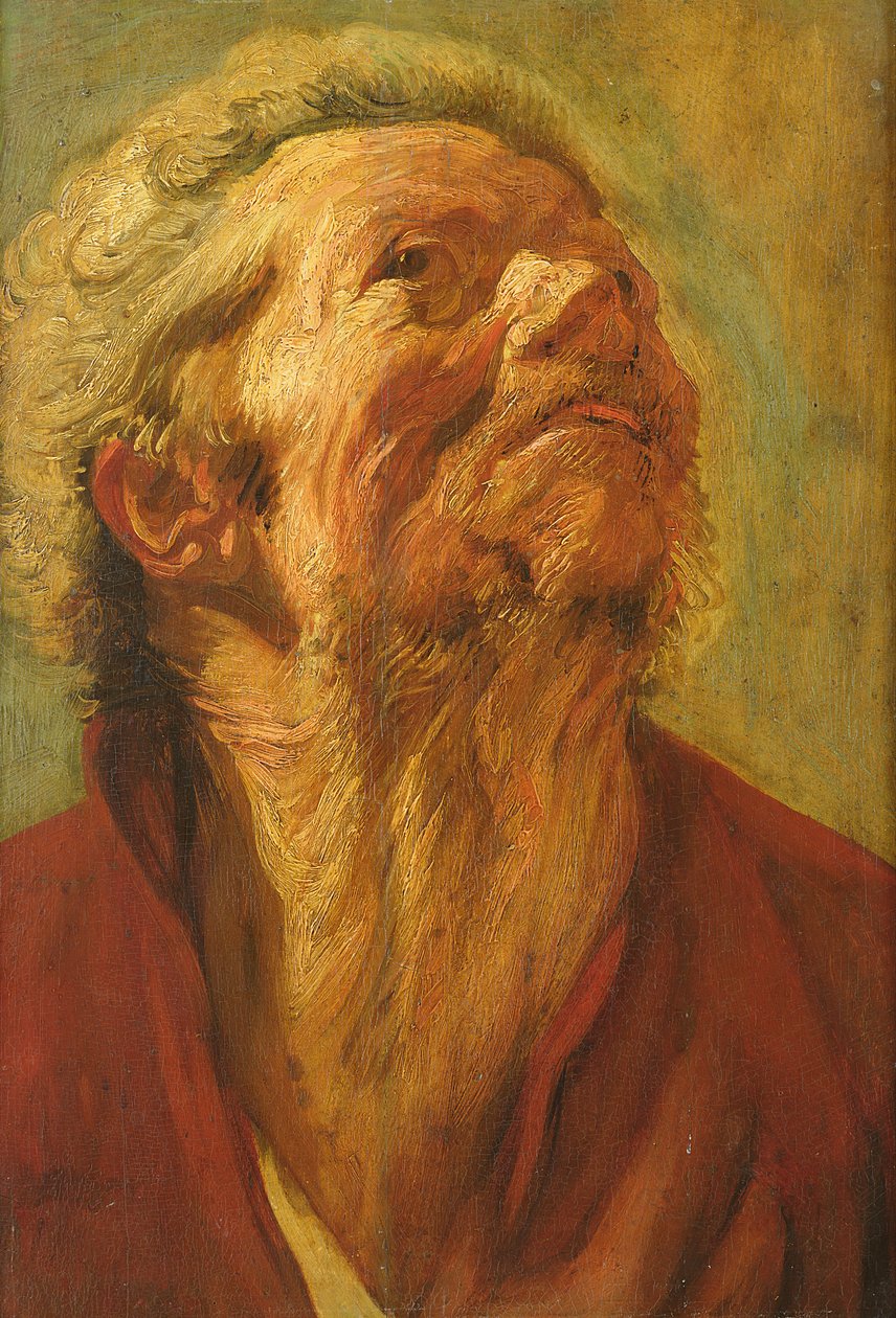 Tanulmány egy fejről vagy egy apostol fejéről, 1620 körül alkotó: Jacob Jordaens