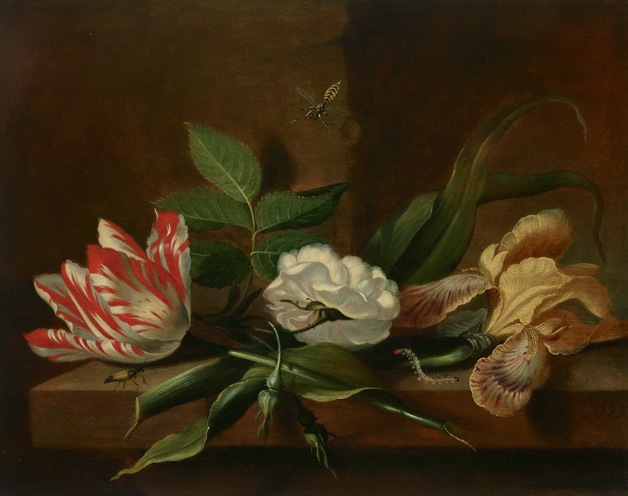 Egy papagájtulipán, egy rózsa, egy írisz és rovarok egy faasztalon. alkotó: Jacob Marrel