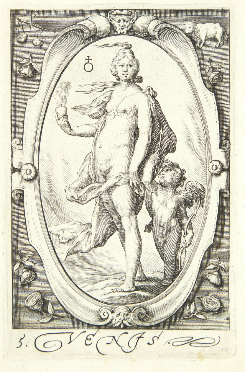 Vénusz alkotó: Jacob Matham