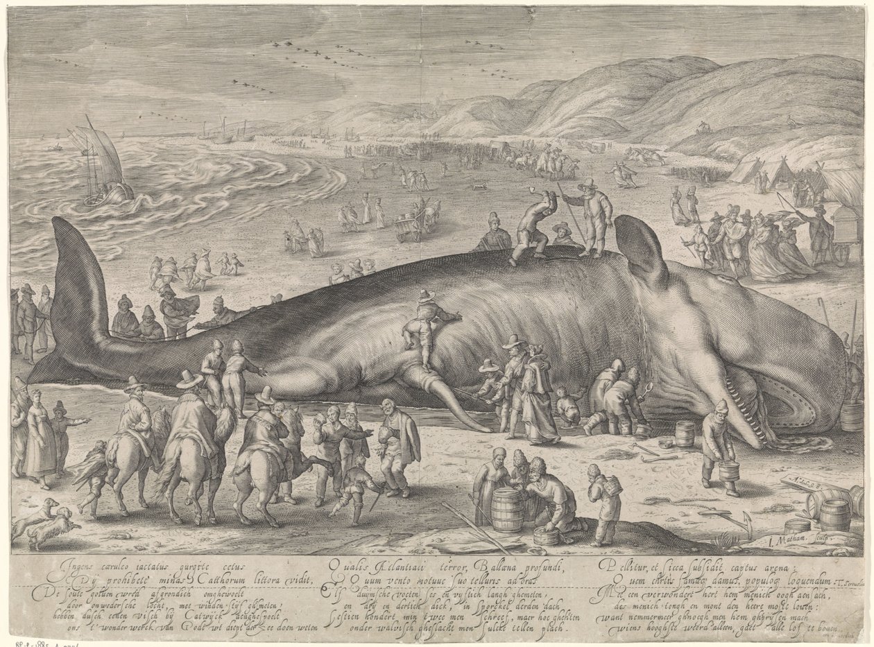Bálna rekedt Berckheyben, 1598 alkotó: Jacob Matham