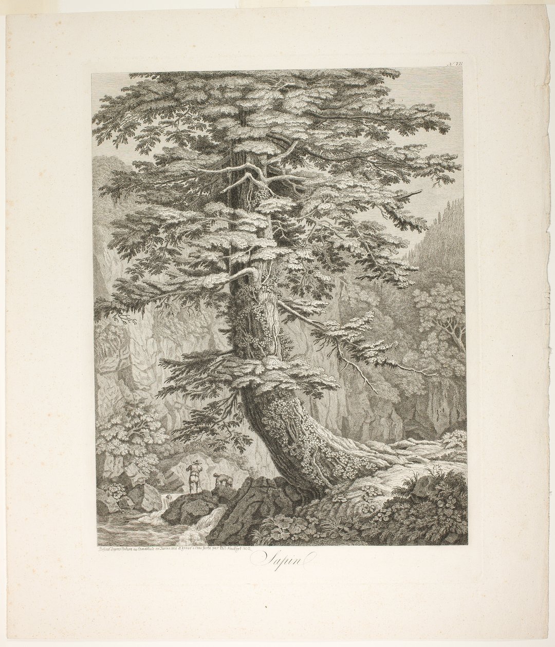 Fenyőfa alkotó: Jacob Philipp Hackert