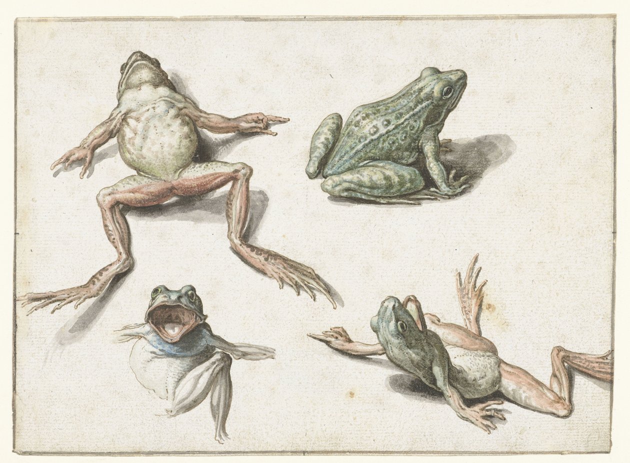 Négy tanulmány egy békáról alkotó: Jacob de Gheyn (II)