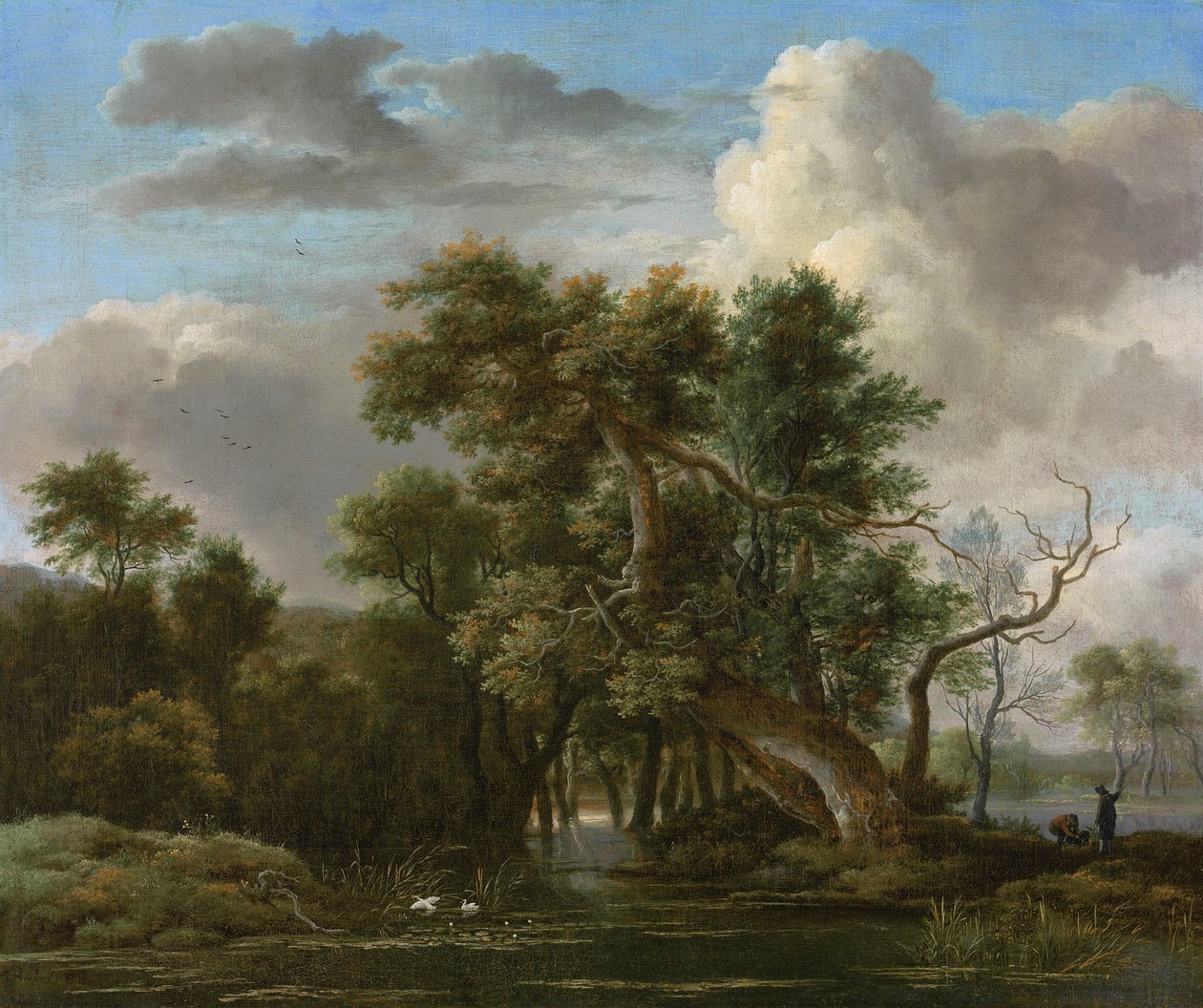 Egy erdei medence alkotó: Jacob van Ruisdael