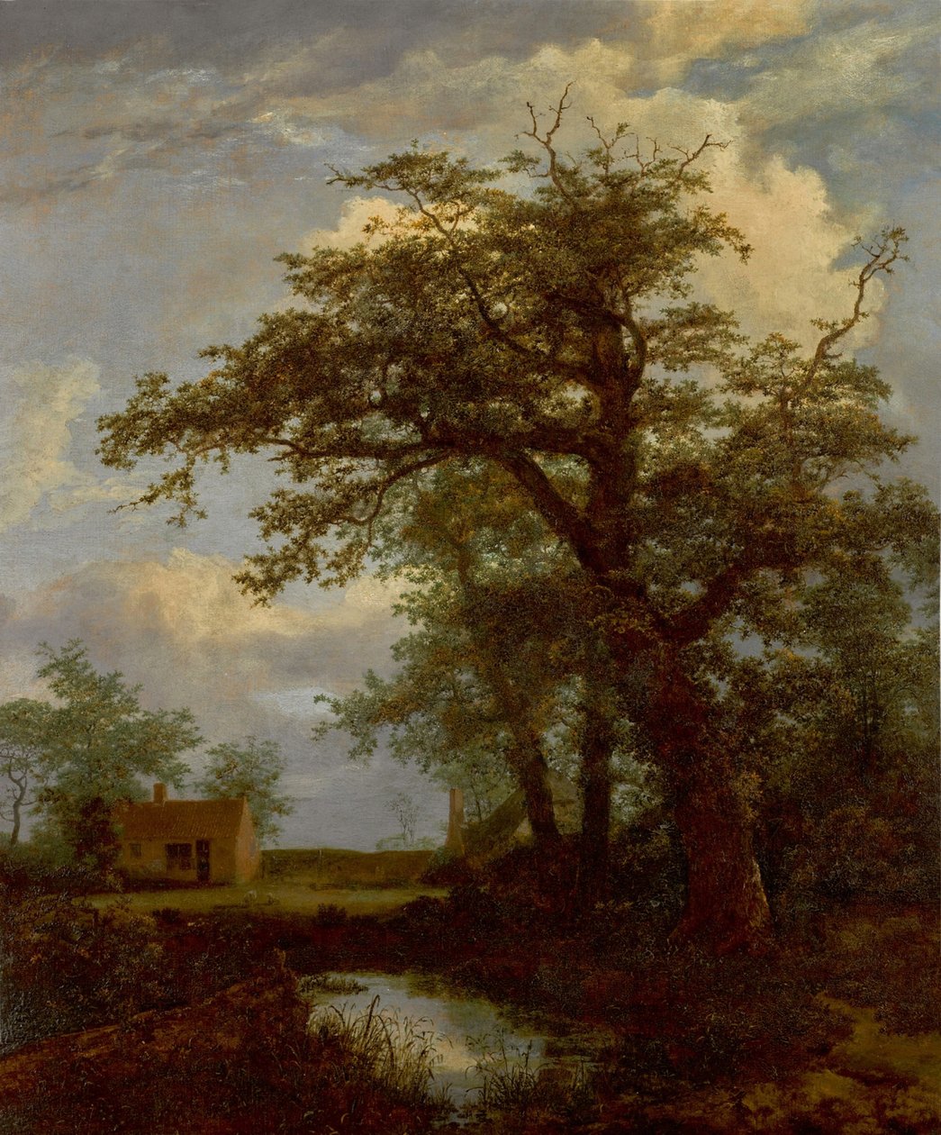 Egy erdős táj, tölgyfával, tóval és házakkal a túloldalon alkotó: Jacob van Ruisdael