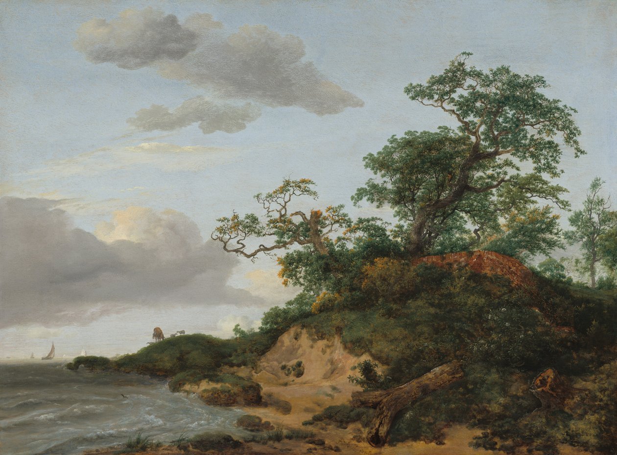 Dűnék a tenger mellett, 1648. alkotó: Jacob van Ruisdael
