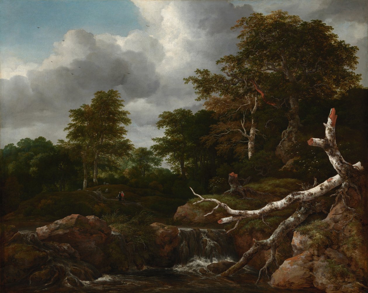 Erdei jelenet alkotó: Jacob van Ruisdael