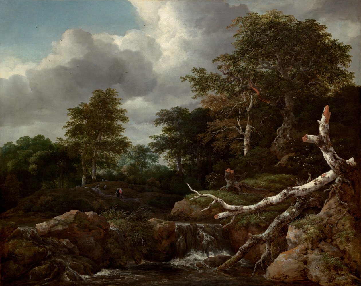 Erdei jelenet, c. 1655. alkotó: Jacob van Ruisdael