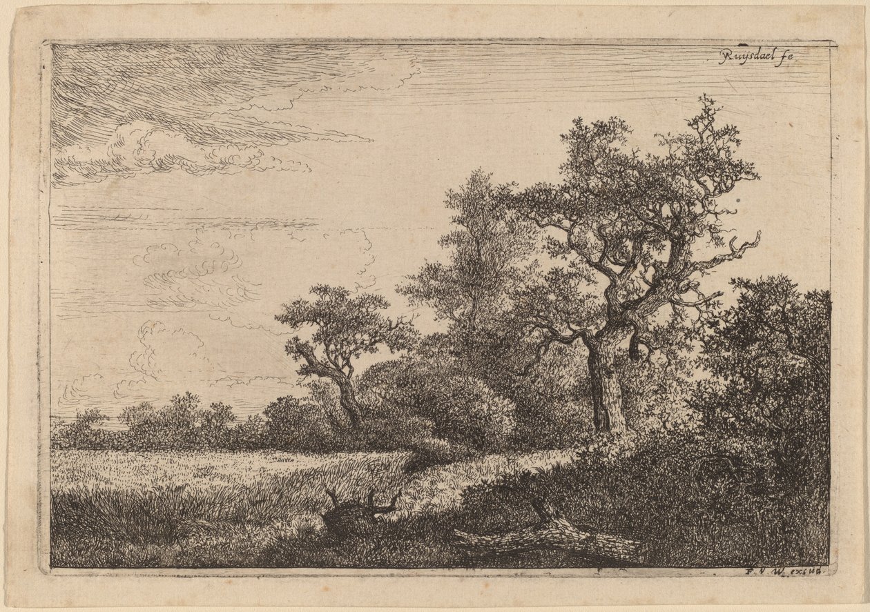 Gabonatábla a fa szélén (kukoricatábla) alkotó: Jacob van Ruisdael