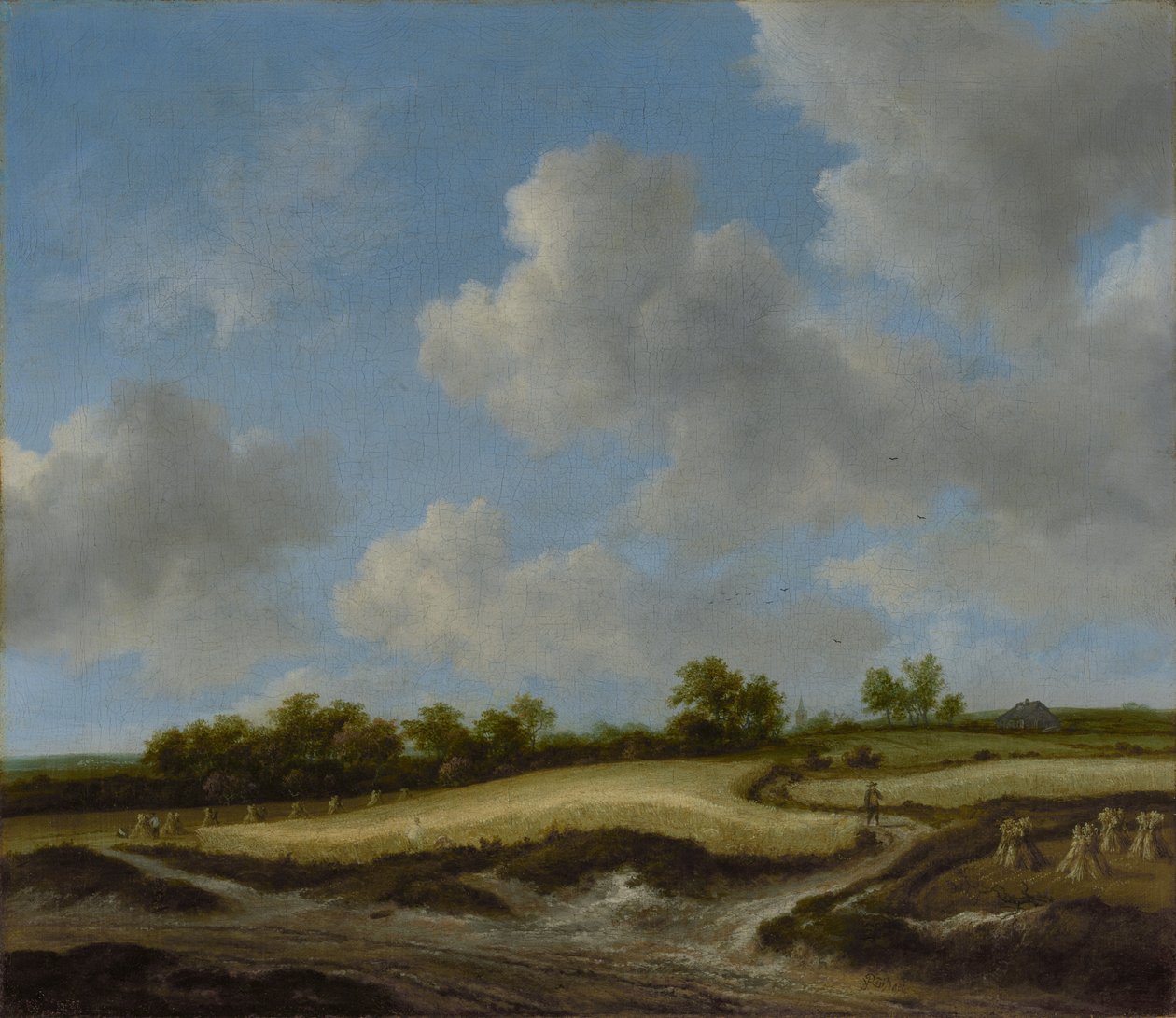 Táj búzamezővel alkotó: Jacob van Ruisdael