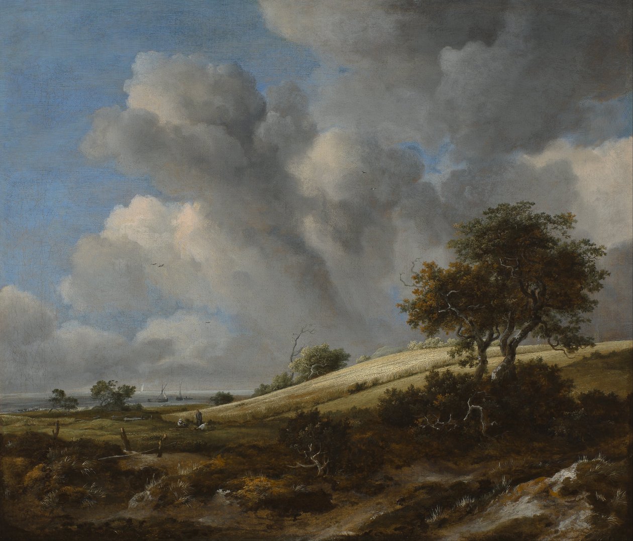 Tájkép kukoricamezővel a tenger mellett alkotó: Jacob van Ruisdael