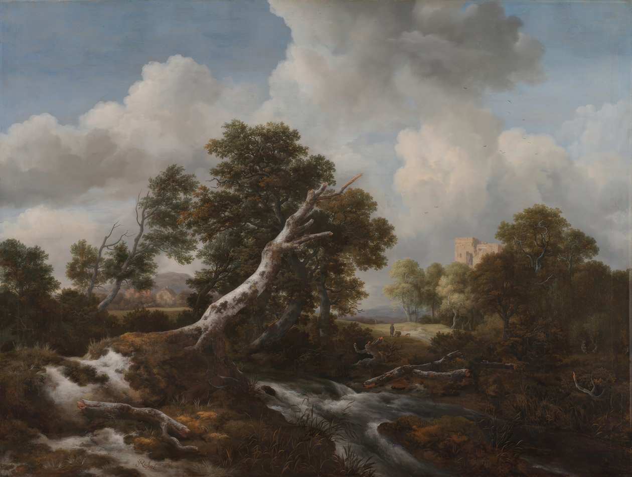Alacsony vízesés egy erdős tájban egy halott bükkfával alkotó: Jacob van Ruisdael