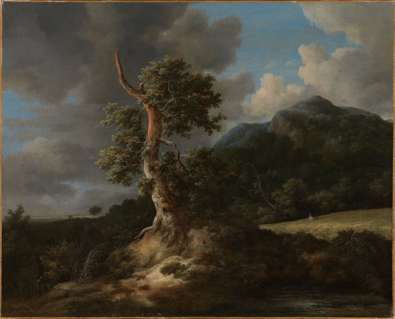 Hegyi táj egy kiégett tölgyfával alkotó: Jacob van Ruisdael