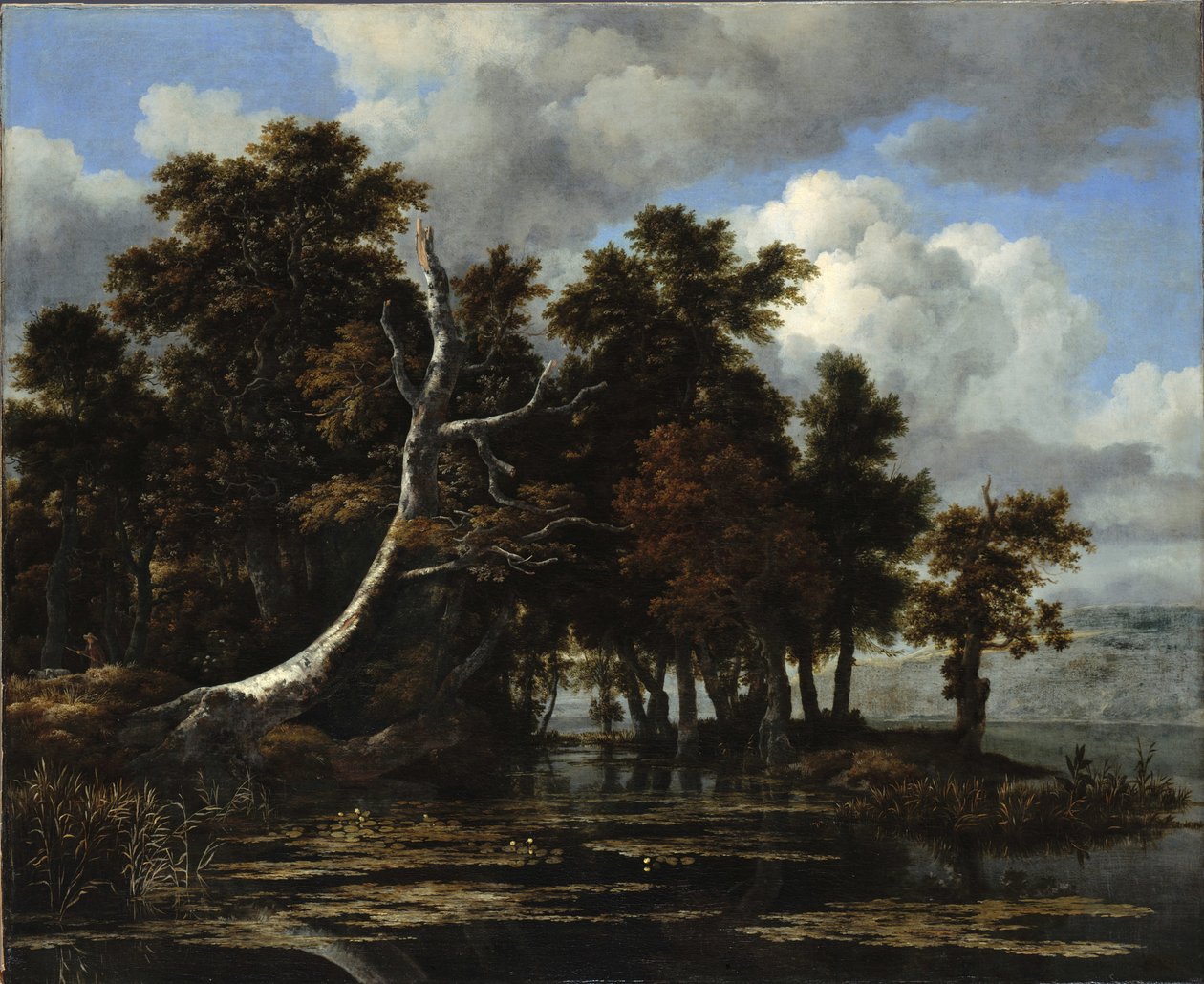 Tölgyek egy tónál tavirózsákkal alkotó: Jacob van Ruisdael