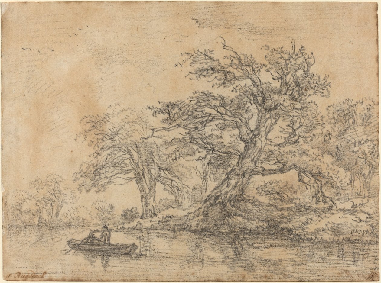 Régi fák a bank mentén alkotó: Jacob van Ruisdael