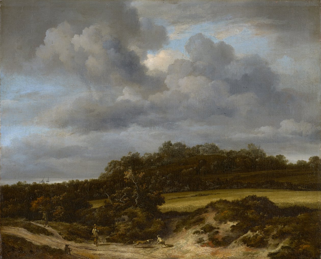 A kukoricamező alkotó: Jacob van Ruisdael