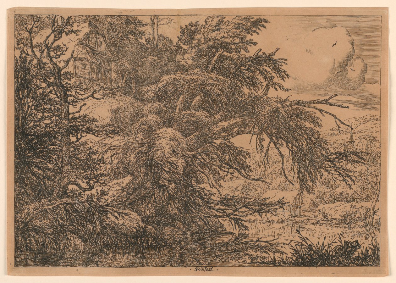A nádfedeles kunyhó a hegyen alkotó: Jacob van Ruisdael