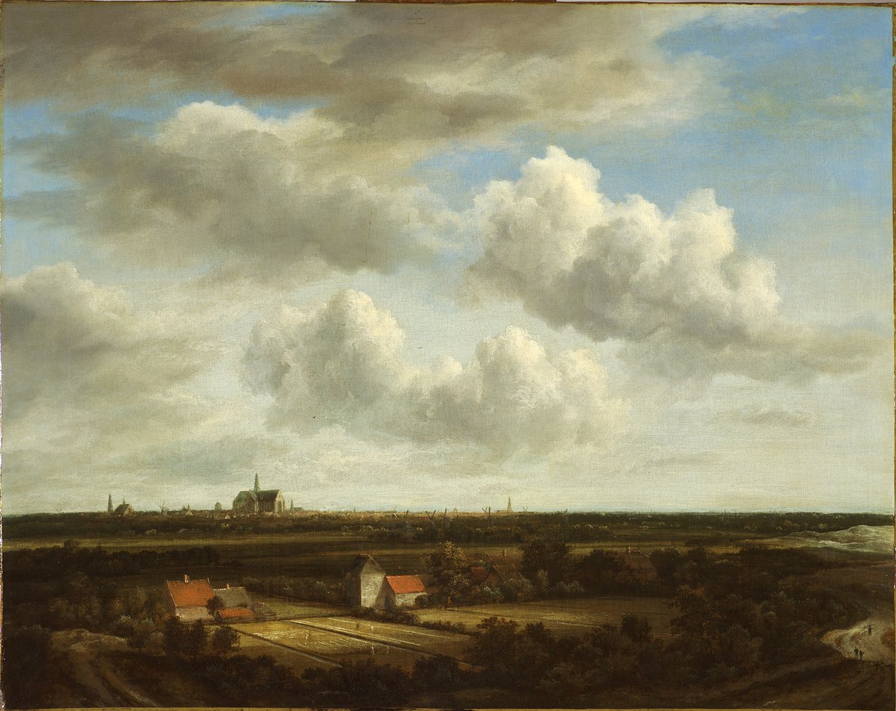 Kilátás a fehérítő mezőkre Haarlem közelében alkotó: Jacob van Ruisdael