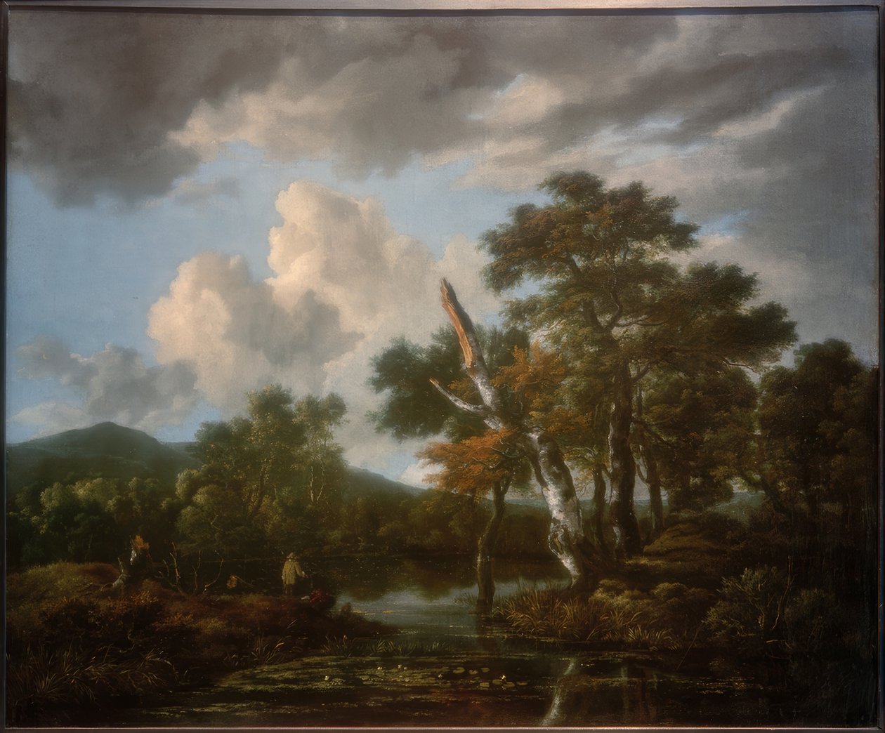 Erdei táj egy tóval alkotó: Jacob van Ruisdael