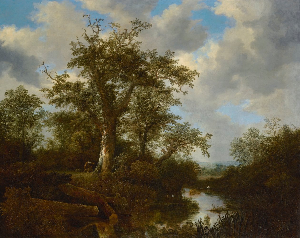 Erdővel borított táj patakon átkelő szarvasmarhákkal alkotó: Jacob van Ruisdael