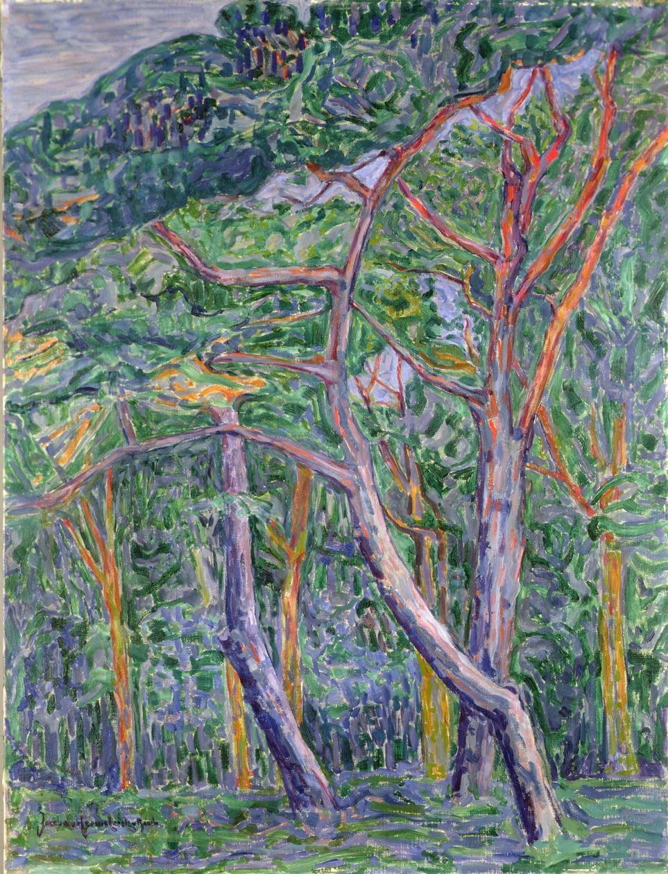 Fenyőfák alkotó: Jacoba van Heemskerck