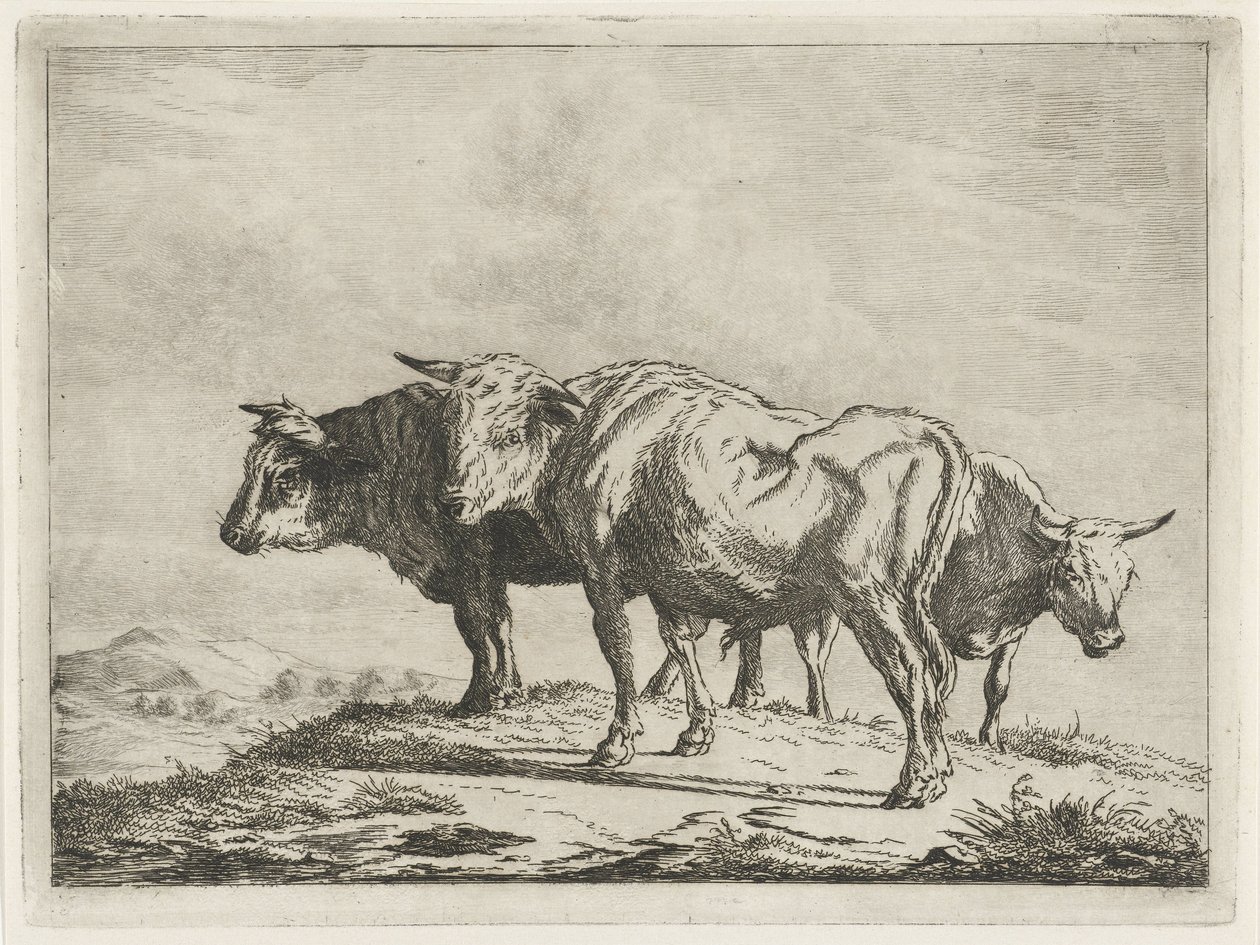 Három ökör alkotó: Jacobus Cornelis Gaal