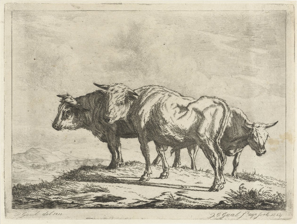 Három ökör alkotó: Jacobus Cornelis Gaal