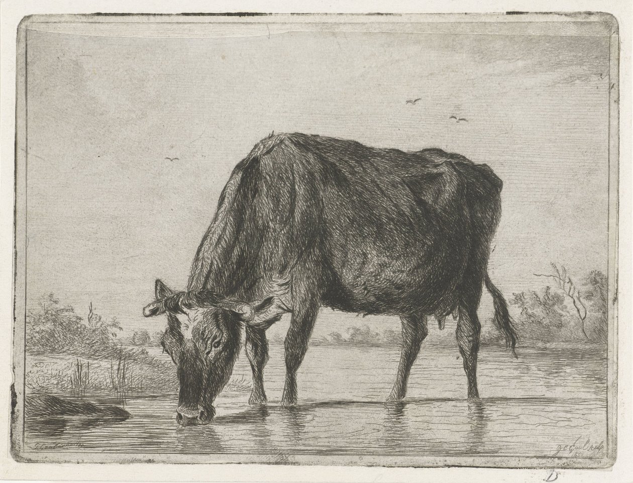 Ivó tehén alkotó: Jacobus Cornelis Gaal