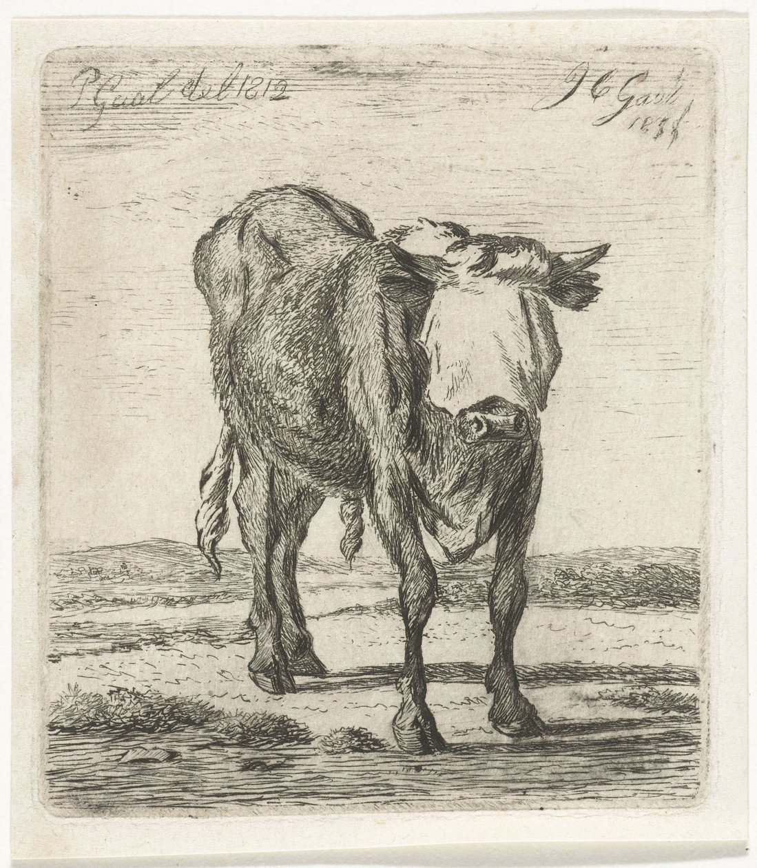 Bekötött szemű bika alkotó: Jacobus Cornelis Gaal