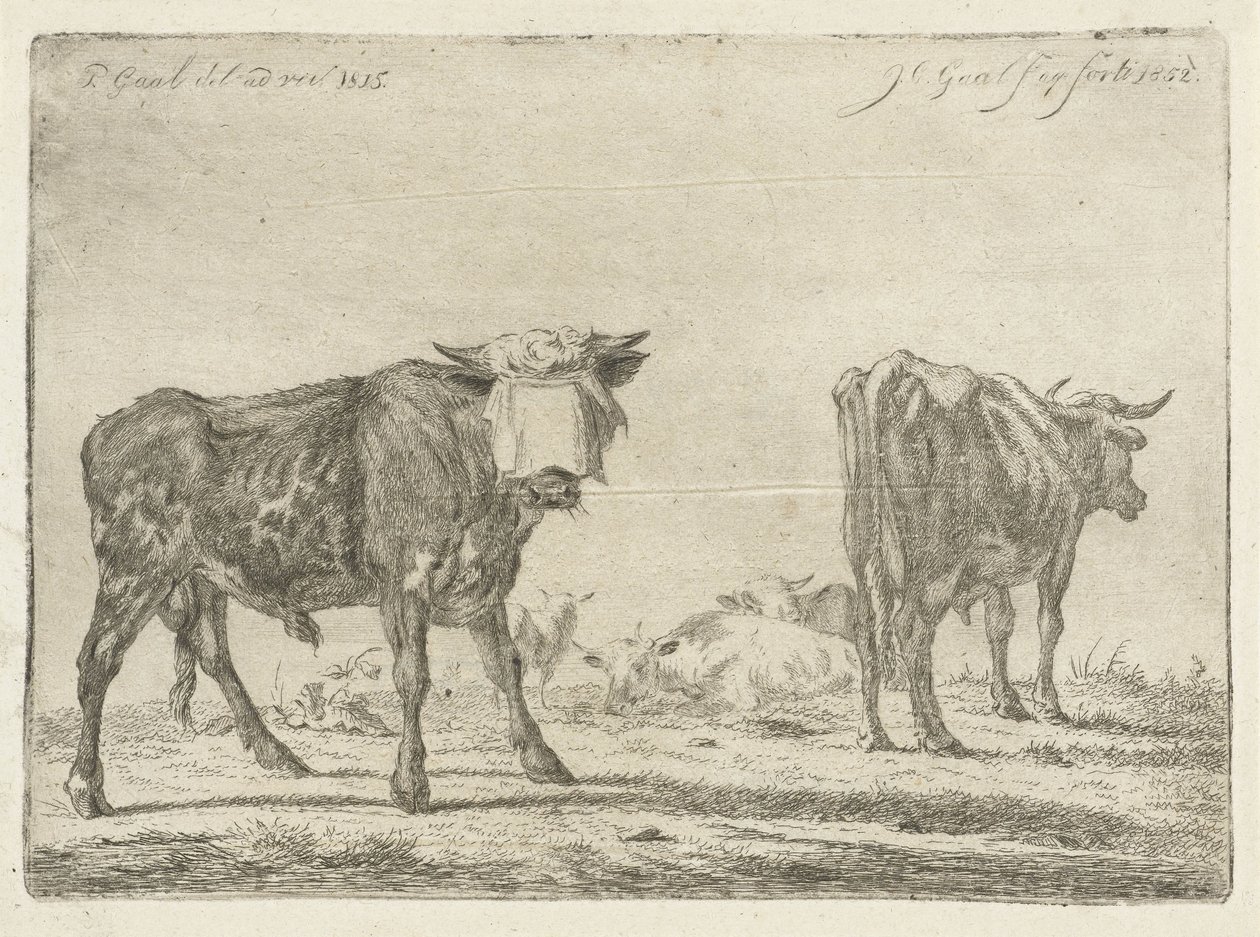 Bekötött szemű bika marhacsordával alkotó: Jacobus Cornelis Gaal