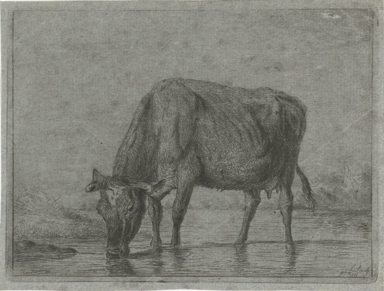Tehén iszik egy tócsából alkotó: Jacobus Cornelis Gaal