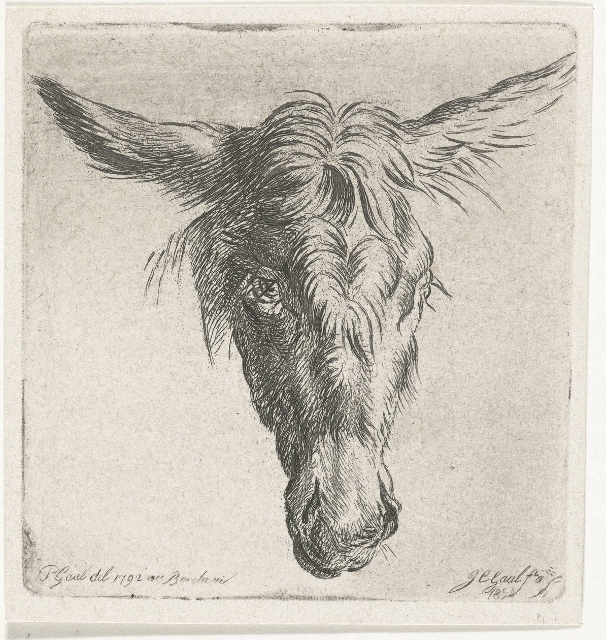 Egy szamár feje alkotó: Jacobus Cornelis Gaal