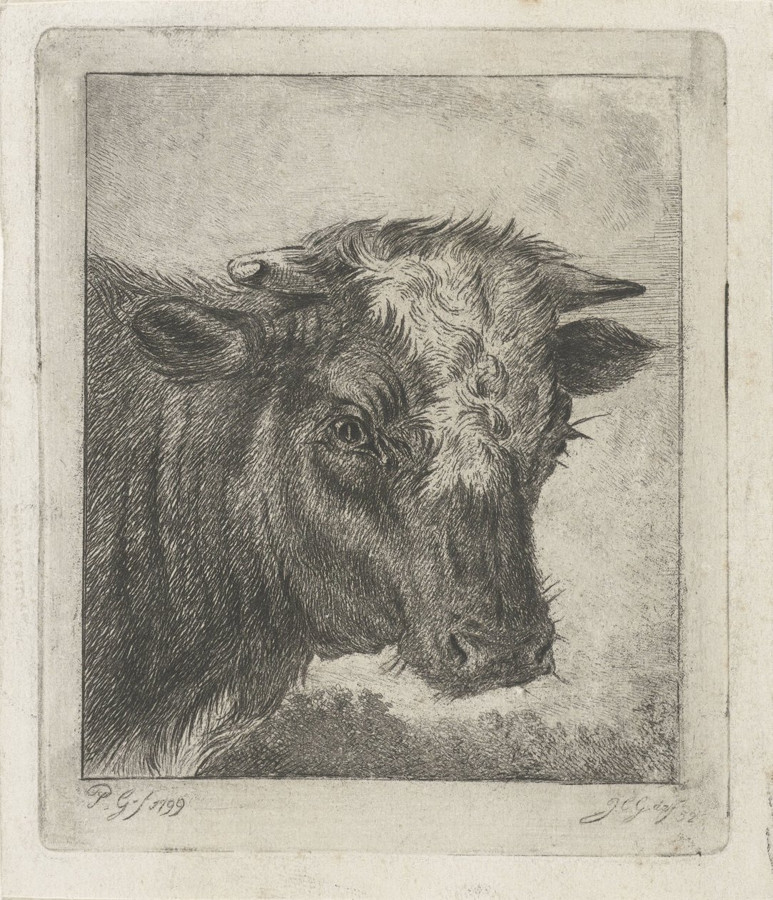 Fehér galléros tehén feje alkotó: Jacobus Cornelis Gaal