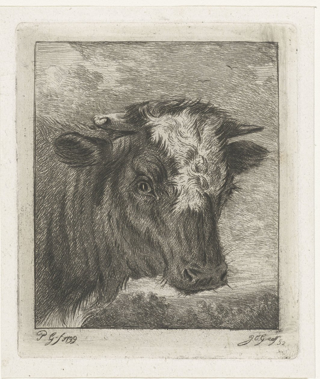 Fehér galléros tehén feje alkotó: Jacobus Cornelis Gaal