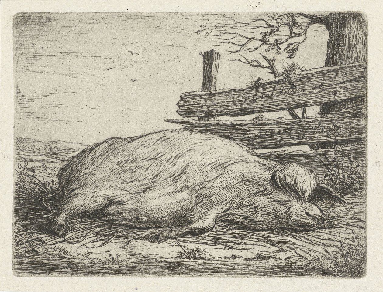 Fekvő vaddisznó alkotó: Jacobus Cornelis Gaal