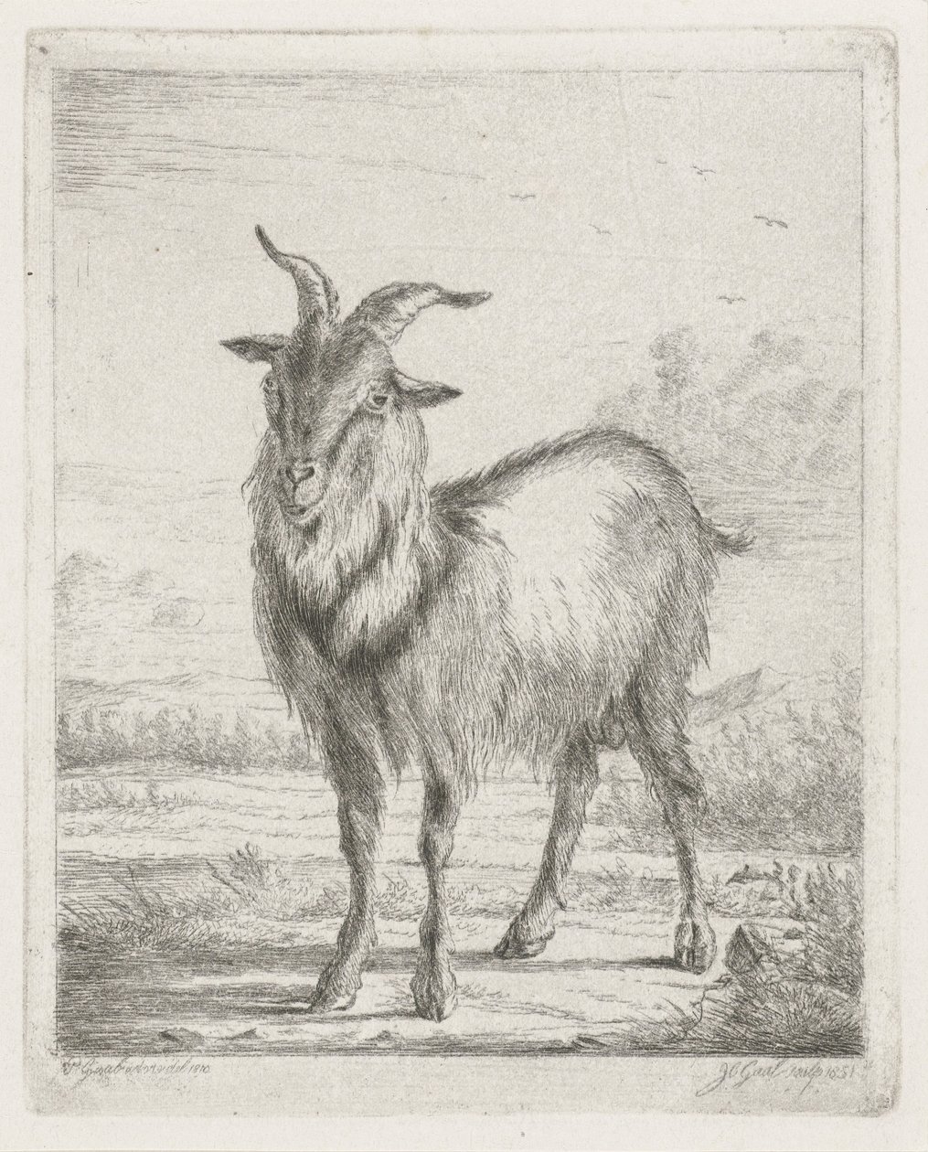 álló kecske alkotó: Jacobus Cornelis Gaal