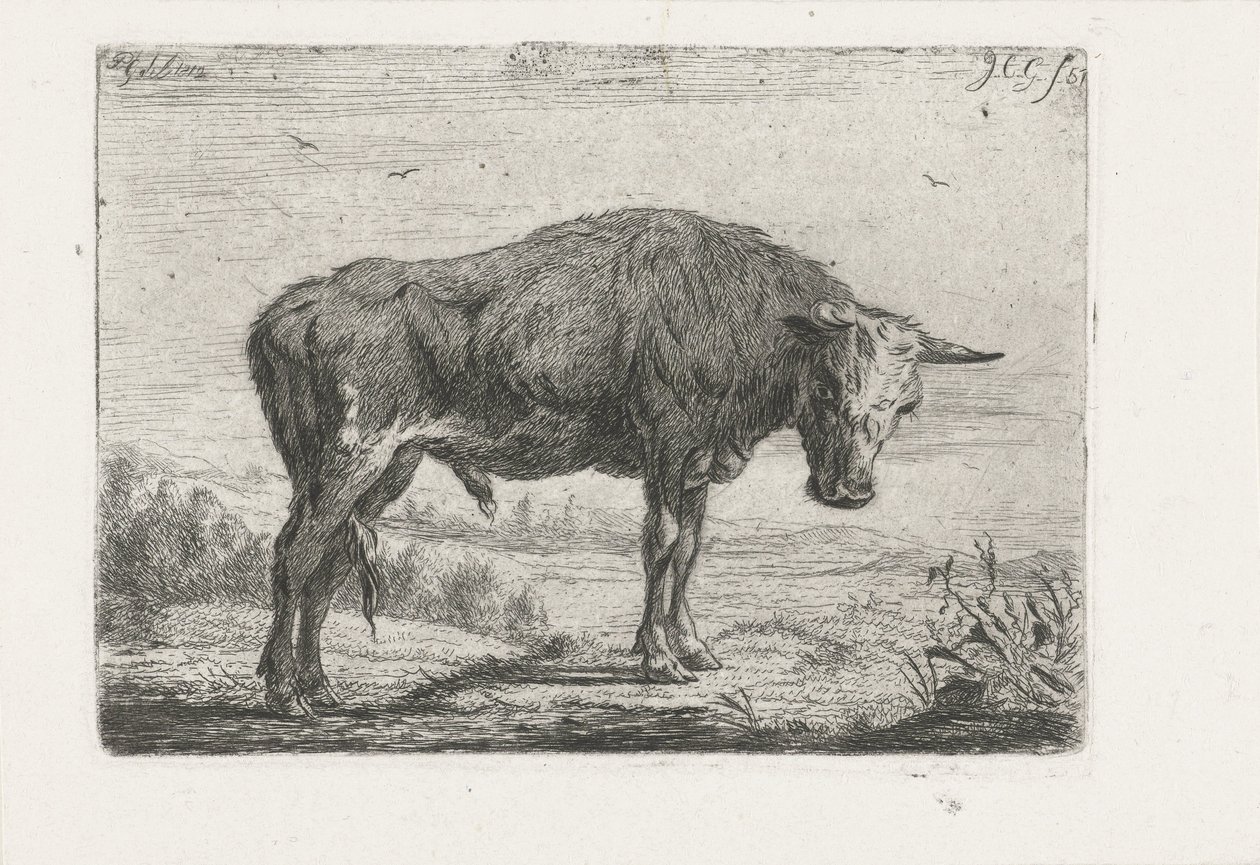 álló bika alkotó: Jacobus Cornelis Gaal