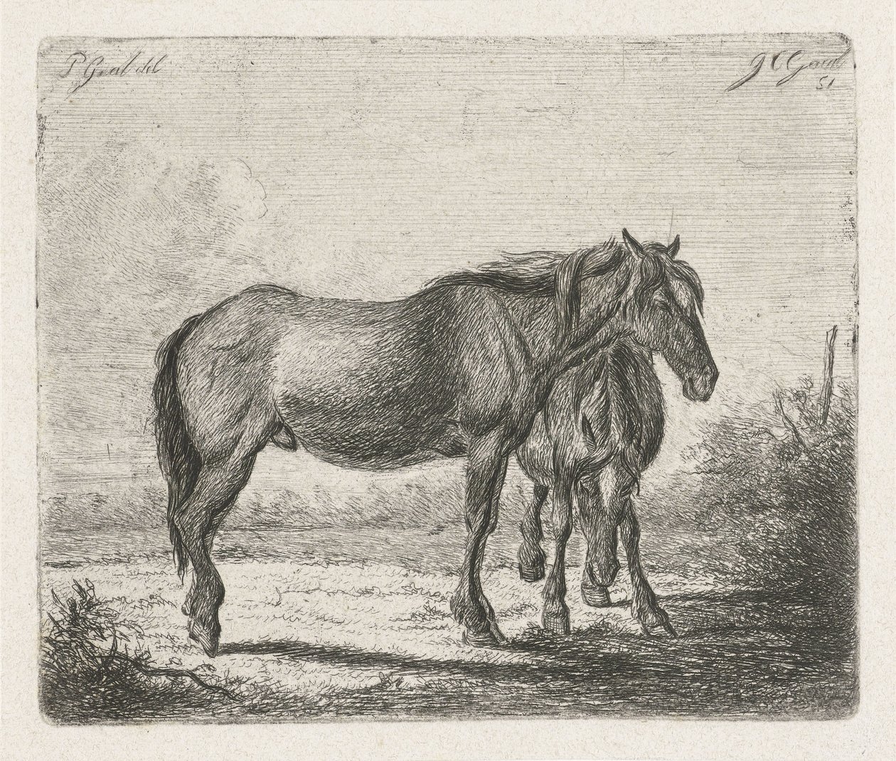 Két ló alkotó: Jacobus Cornelis Gaal