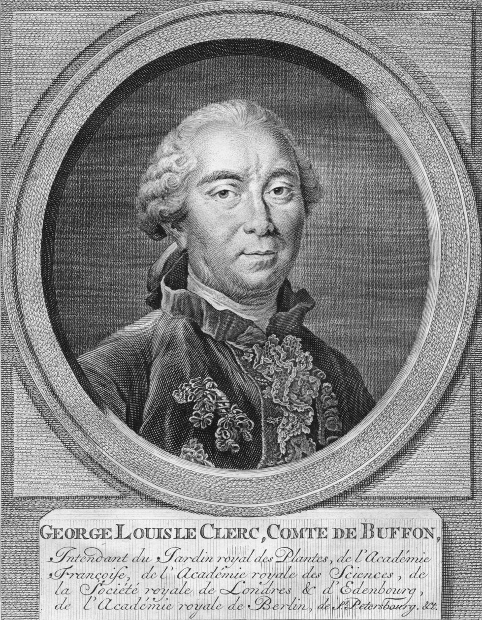 George Louis Leclerc, De Buffon gróf, 1774. alkotó: Jacobus Houbraken