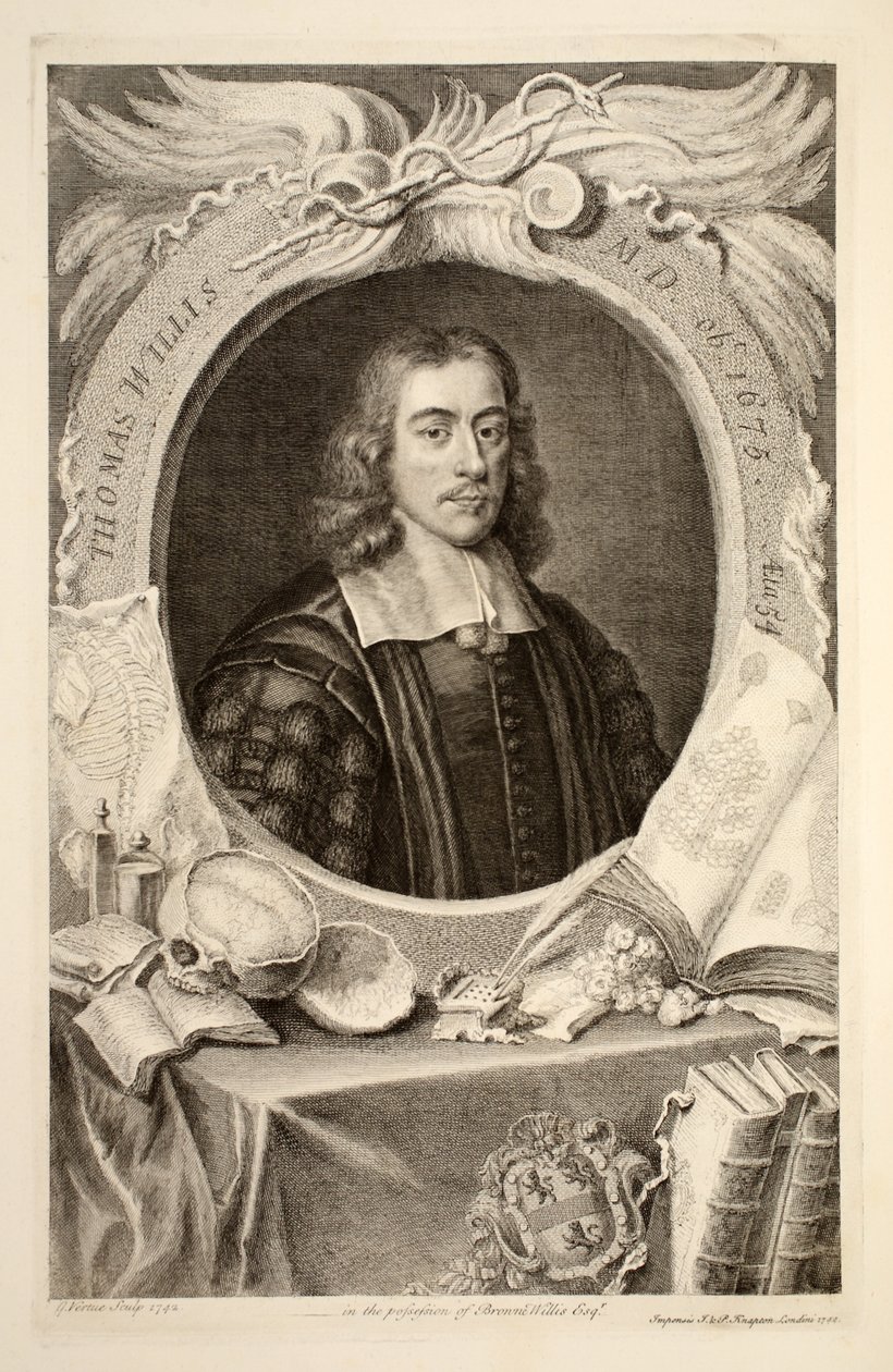 Thomas Willis, M.D. portréja, illusztráció a „Heads of Illustrious Persons of Great Britain”, pub. Írta: Knapton, London, 1742 alkotó: Jacobus Houbraken