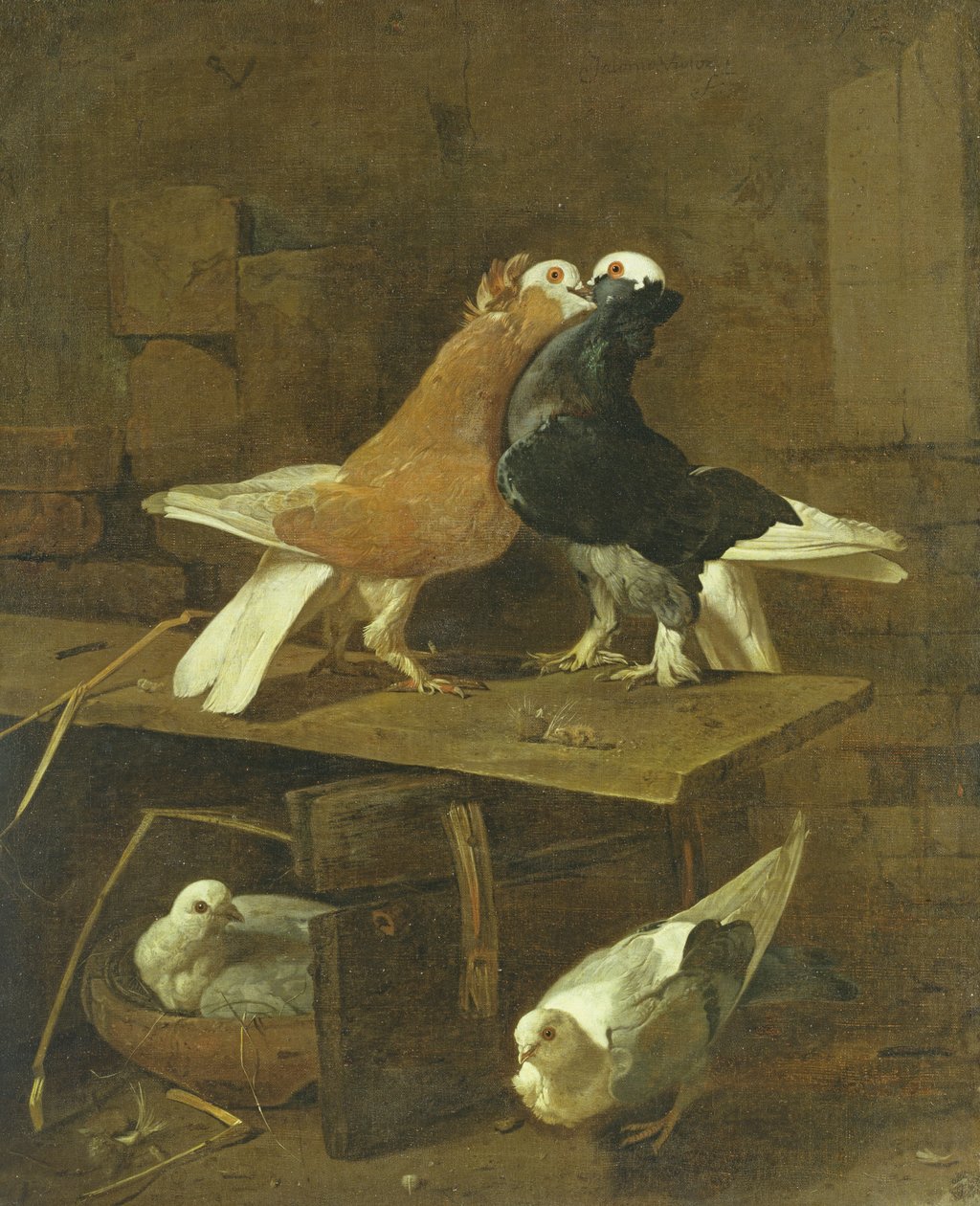 Galambok alkotó: Jacomo Victors