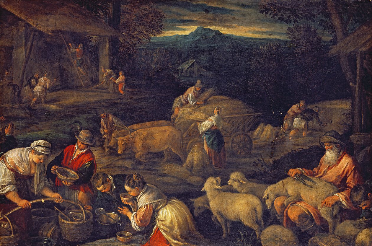 Farm belső vagy nyíró juh alkotó: Jacopo Bassano