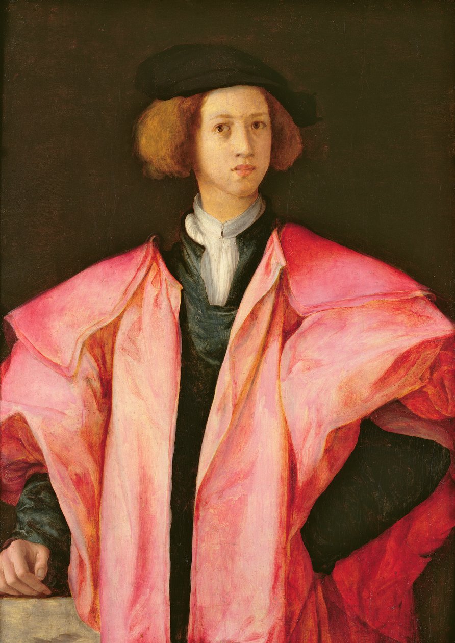 Egy fiatal férfi portréja alkotó: Jacopo Pontormo