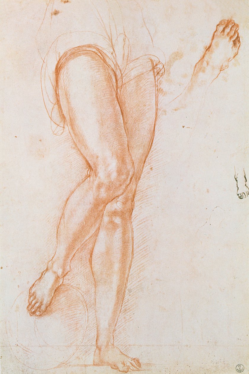 Tanulmány egy pár lábról és két lábról Szent Mihály figurájához (vörös kréta tollal és tintával) alkotó: Jacopo Pontormo