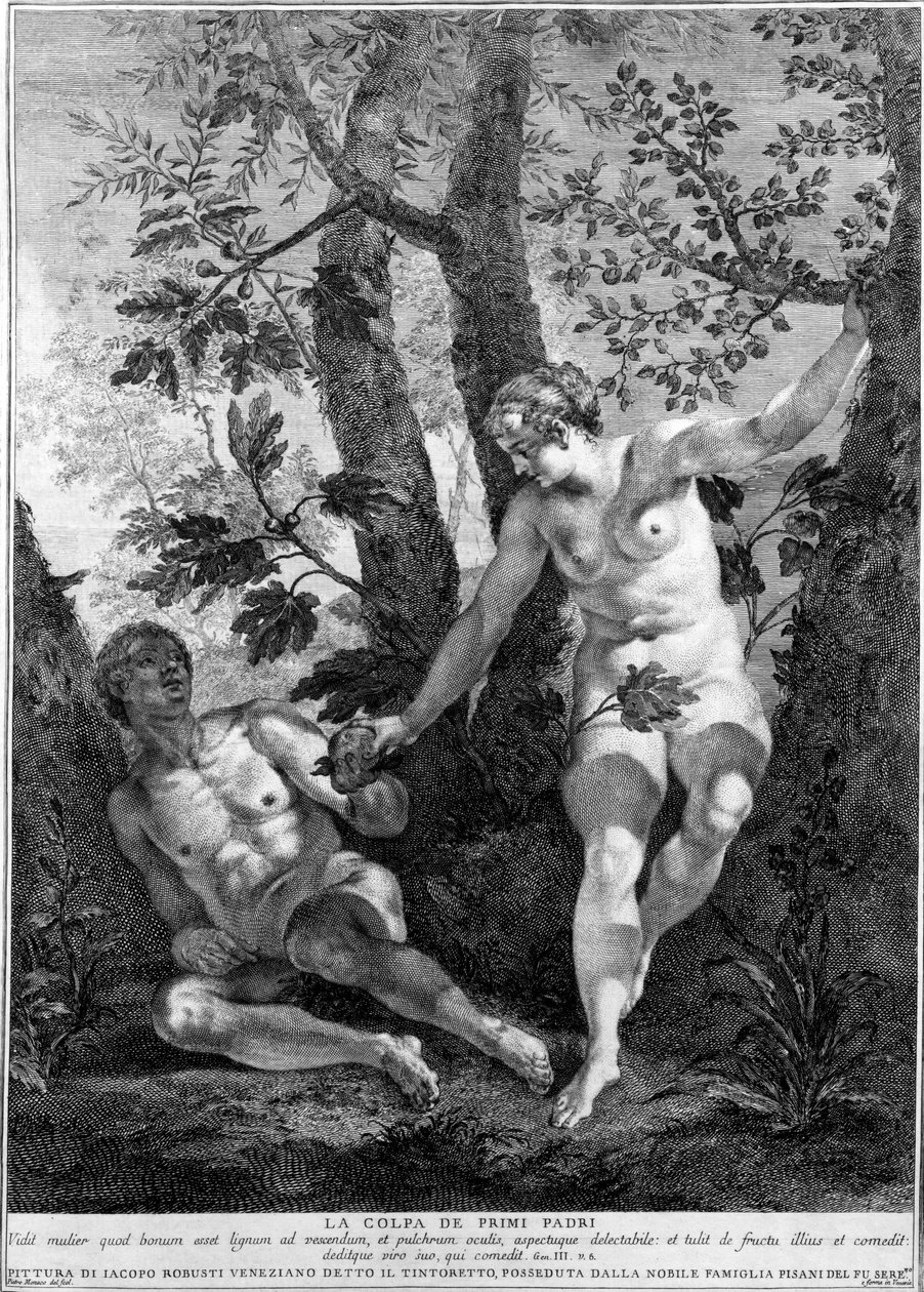 Ádám és Éva, Pietro Monaco metszete, 1741-52 körül alkotó: Jacopo Robusti Tintoretto