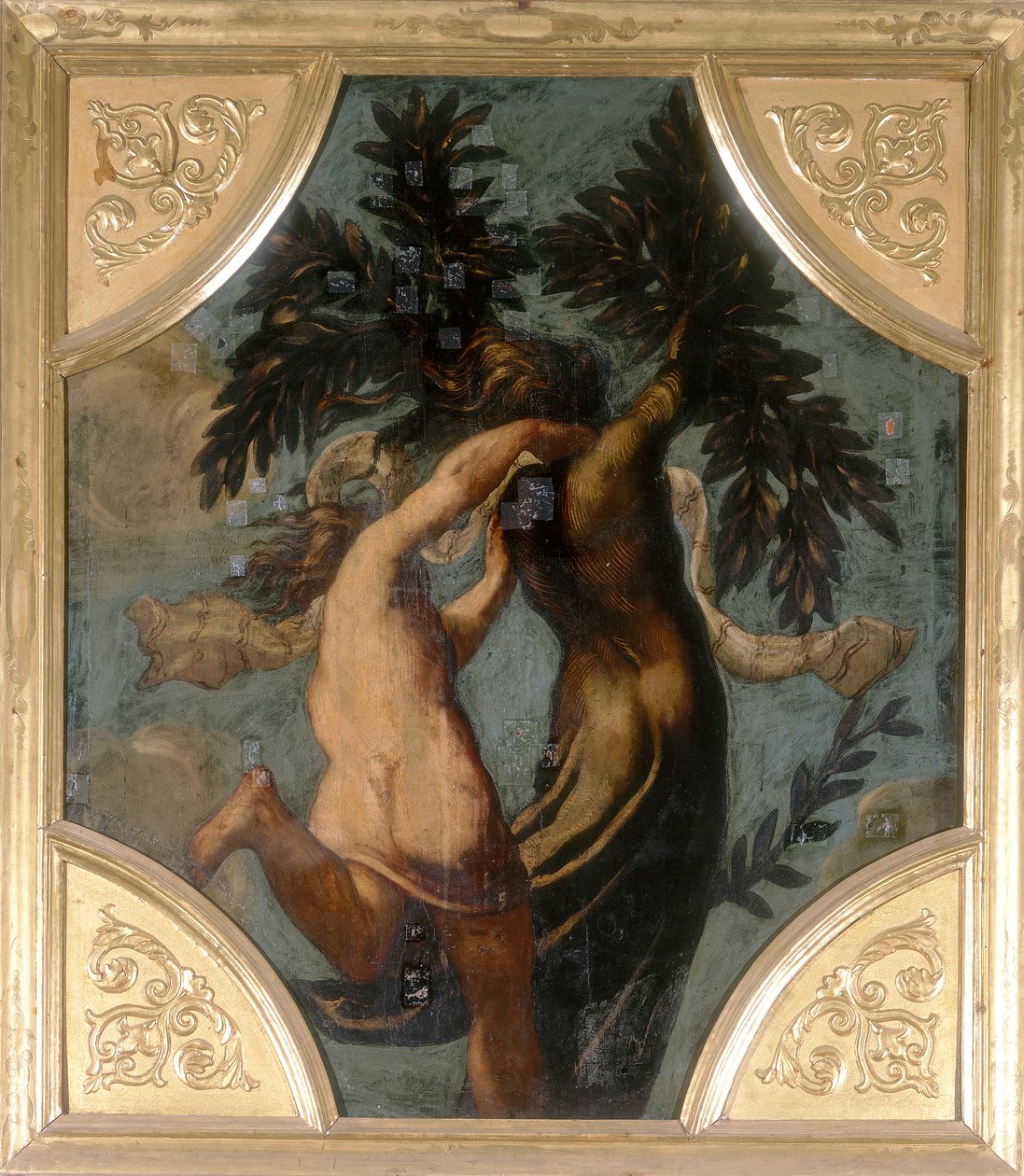 Apollo és Daphne, nyolcszög alkotó: Jacopo Robusti Tintoretto
