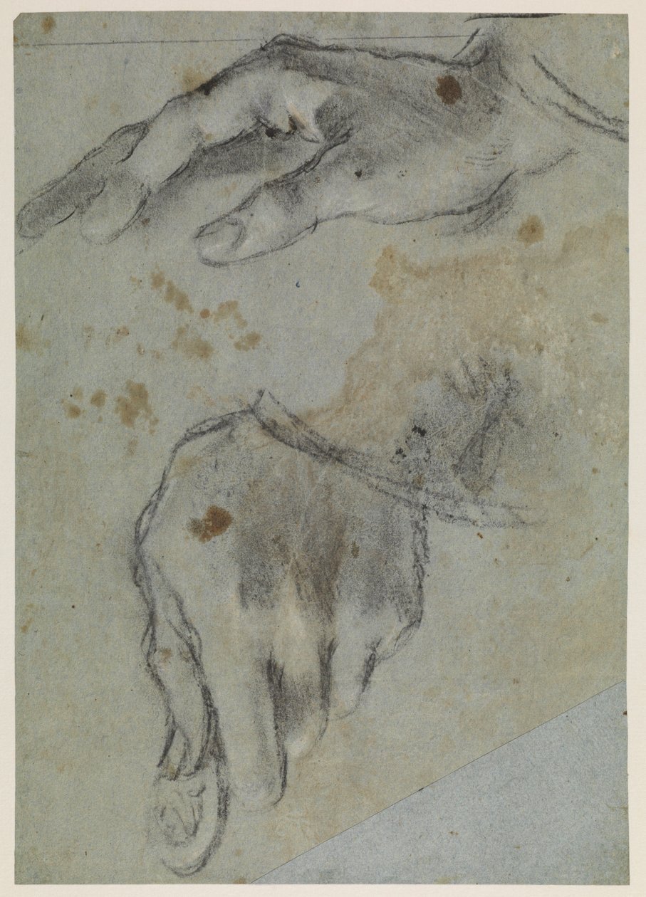 Kéztanulmányok, recto, 16. század alkotó: Jacopo Bassano