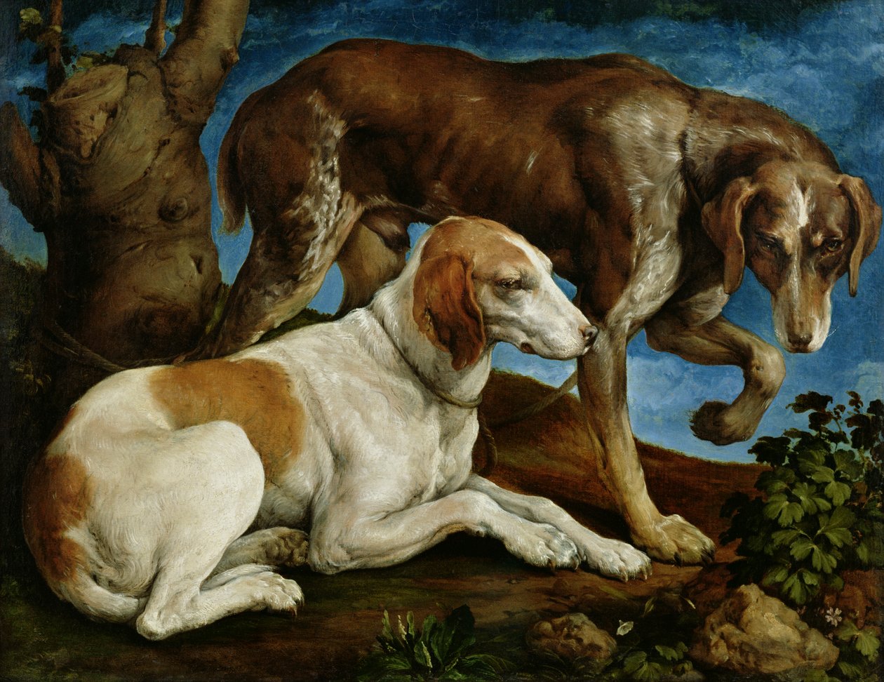 Két vadászkutya egy fatönkhöz kötve, 1548-50 körül alkotó: Jacopo Bassano